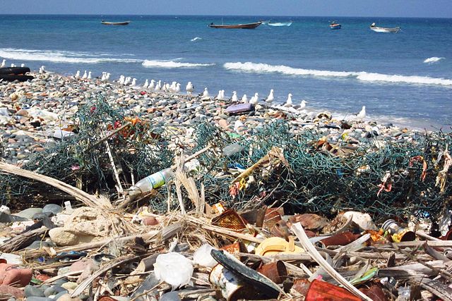 Lixo nas praias: O maior desafio da Década do Oceano